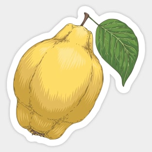 Quince Sticker